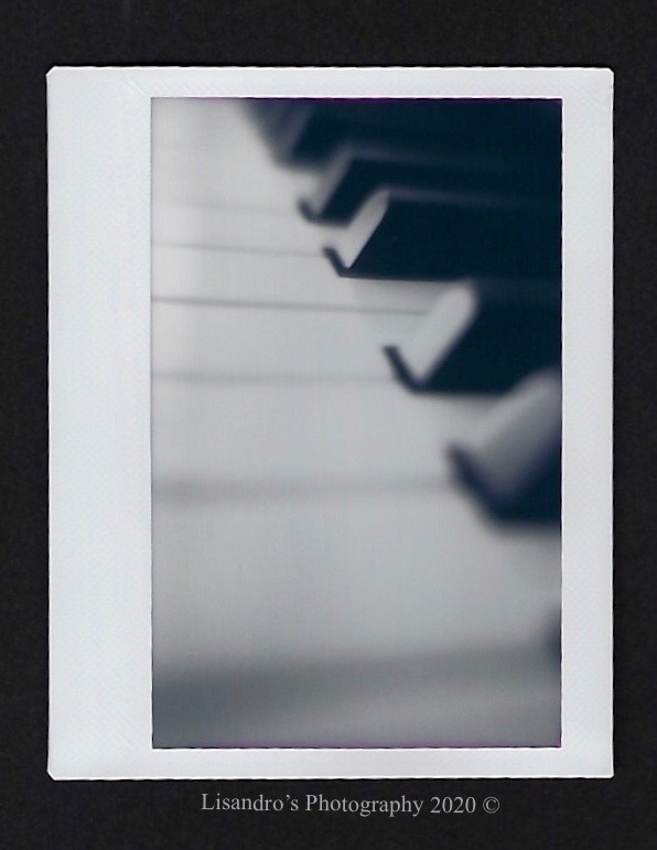Black and White Harmony