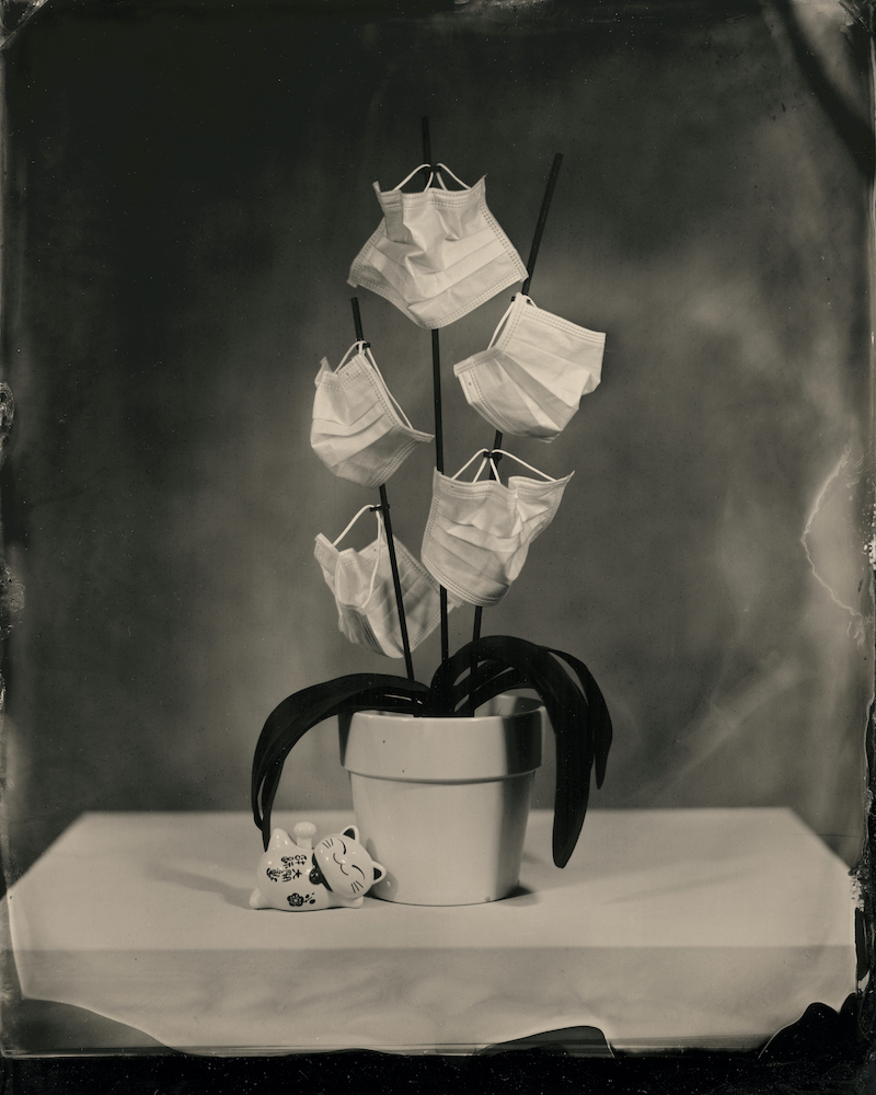 Ikebana Corona